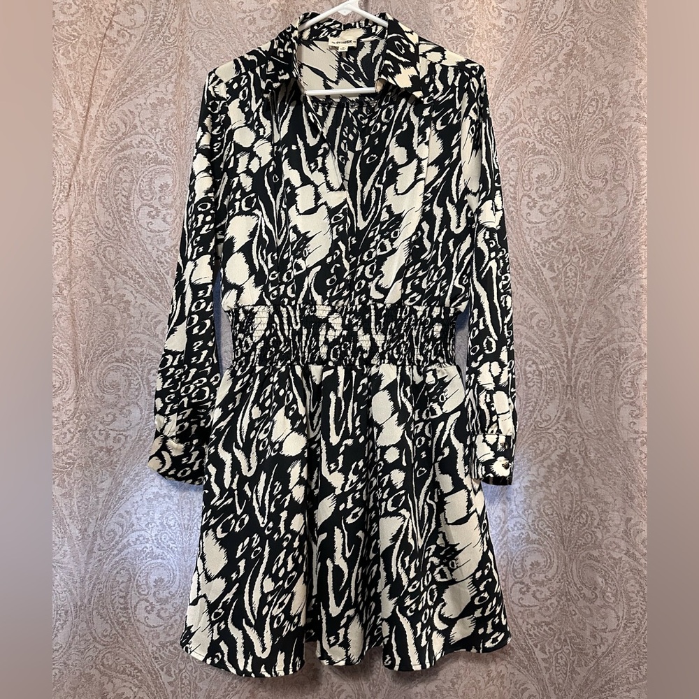 Eesome Black and White Fit and Flare Dress with Bishop Sleeves